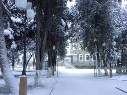 Снежное утро в Цхинвале ( 24.01.16г)
