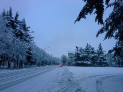 Снежное утро в Цхинвале ( 24.01.16г)