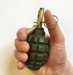 Житель Владикавказа заподозрен в хранении гранаты