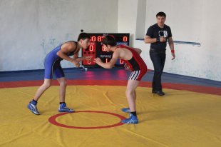 Международный турнир по вольной борьбе памяти Героя Осетии Влада Тедеева