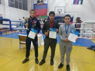 Боксеры из Цхинвала успешно выступили на турнире городов СКФО