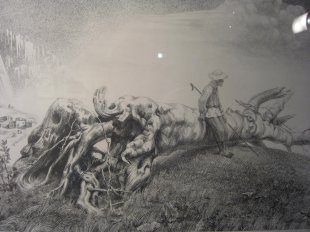 «Рассказы о деревьях» Георгия Цаллагова в Музее истории Владикавказа