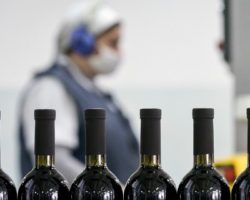 Производство вин: регионы из СКФО вошли в ТОР-10 РФ