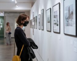 Креативные индустрии: аналитики оценили вклад в экономику регионов СКФО