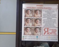 Южная Осетия поддержит Зарину Бадоеву